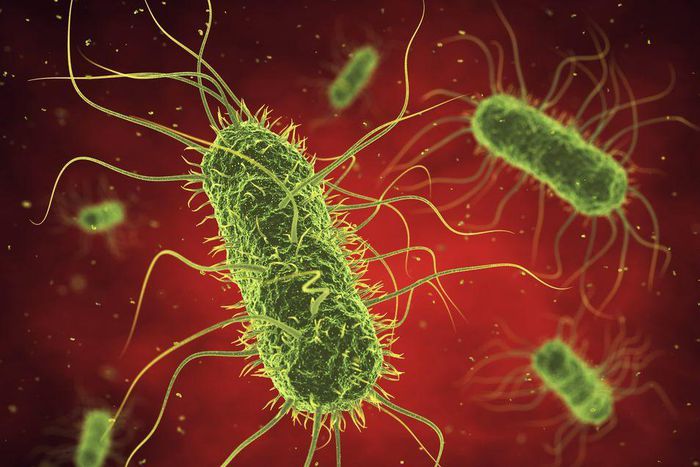 The 5 deadliest diseases for women (That aren't heart disease or cancer)