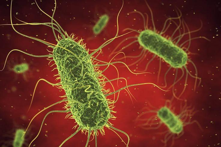 The 5 deadliest diseases for women (That aren't heart disease or cancer)