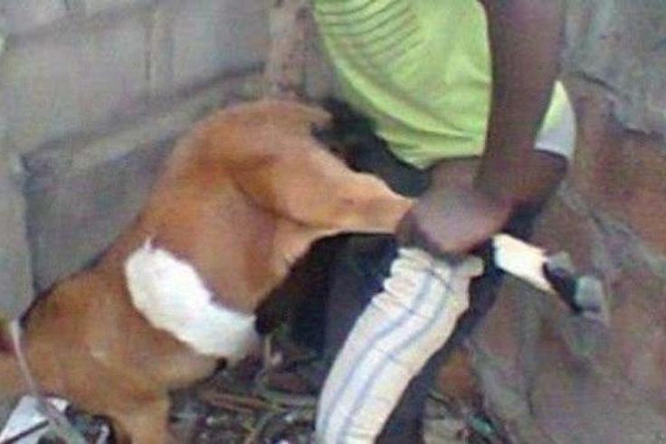 Sex with goat
