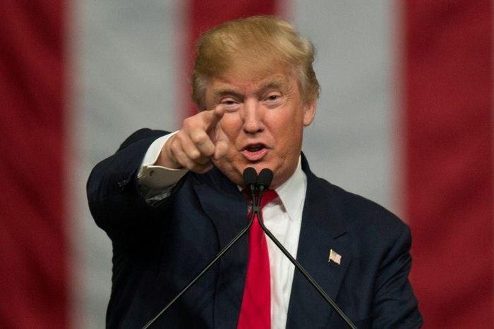 Donald Trump says he will use the Veterans Day holiday to focus on forming an administration and will soon make "important" decisions"