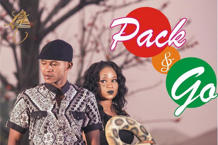 The theorist Pack and Go