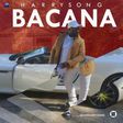 Harrysong- 'Bacana'