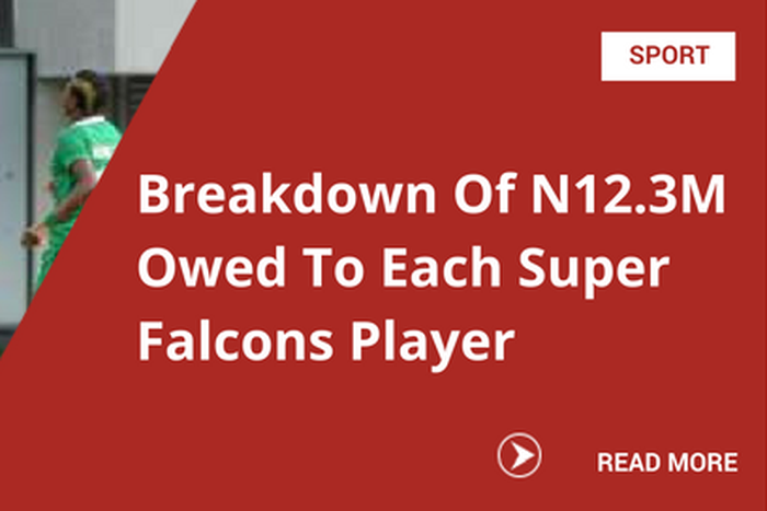 Breakdown Of N12.3M Owed To Each Super Falcons Player