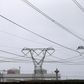 Electricity pylons carry power from Cape Town's Koeberg nuclear power plant, South Africa August 13, 2015.  REUTERS/Mike Hutchings/File Photo