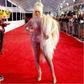 Dencia at the American Music Awards 2016