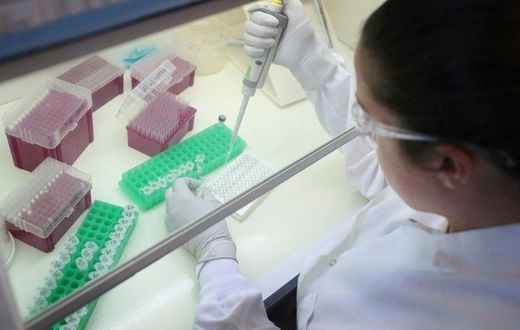 Though there is currently no cure for Zika, two vaccines are currently being tested, according to the WHO