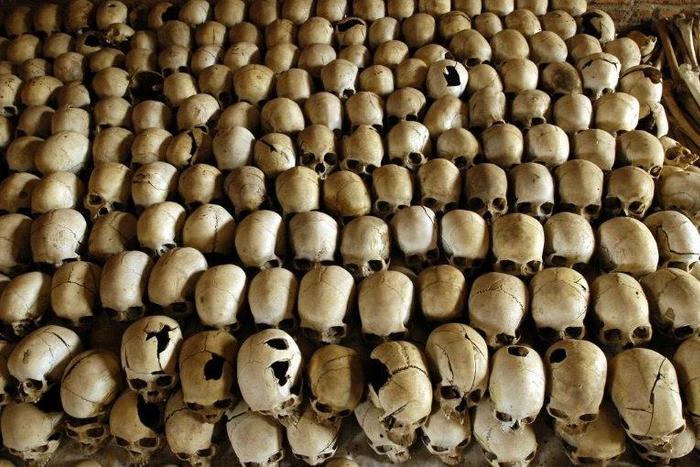 Skulls of victims of the Ntarama massacre during the 1994 genocide are lined in the Genocide Memorial Site church of Ntarama, in Nyamata on February 27, 2004