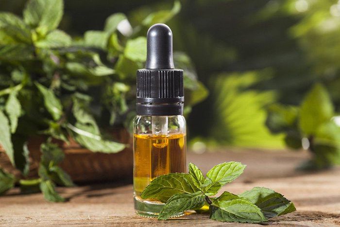 7 health and beauty benefits of peppermint oil