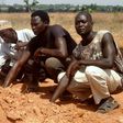 Members of the Islamic Movement of Nigeria, a Shiite group, pray at a mass grave in which 300 members of the organisation are said to be buried