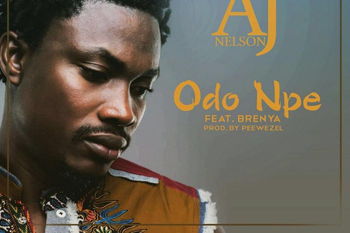 AJ Nelson - Odo Npe cover artwork