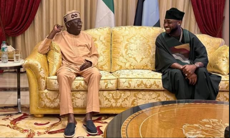 Davido all smiles during visit to Tinubu