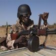 Malian troops