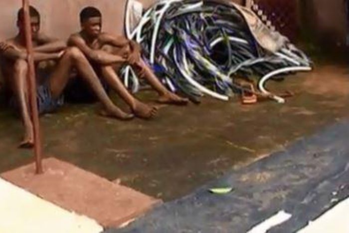 Electric cable vandals