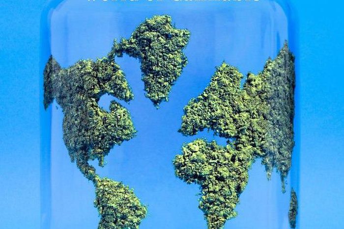 Brave New Weed by Joe Dolce