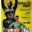 Afropolitan Vibes 40th edition