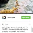 Cossy Orjiakor says her cats are named Buhari and Jonathan
