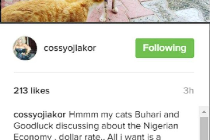 Cossy Orjiakor says her cats are named Buhari and Jonathan