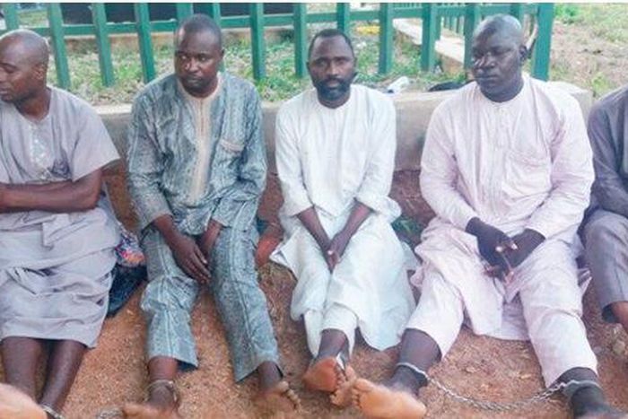 Bags of rice thieves