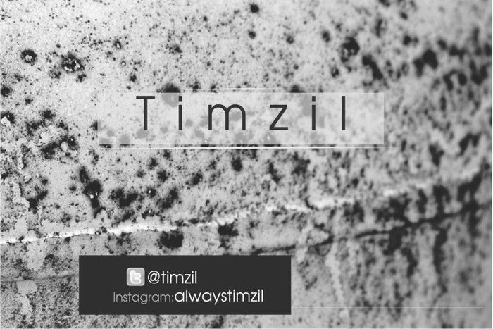 Timzil - Bachelor for life