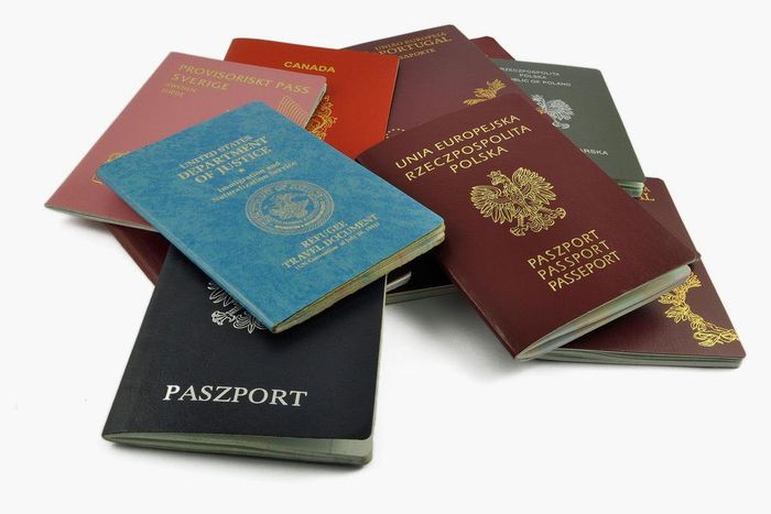 International passports