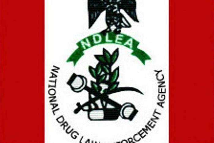 NDLEA in Abia calls for establishment of drug rehabilitation centre