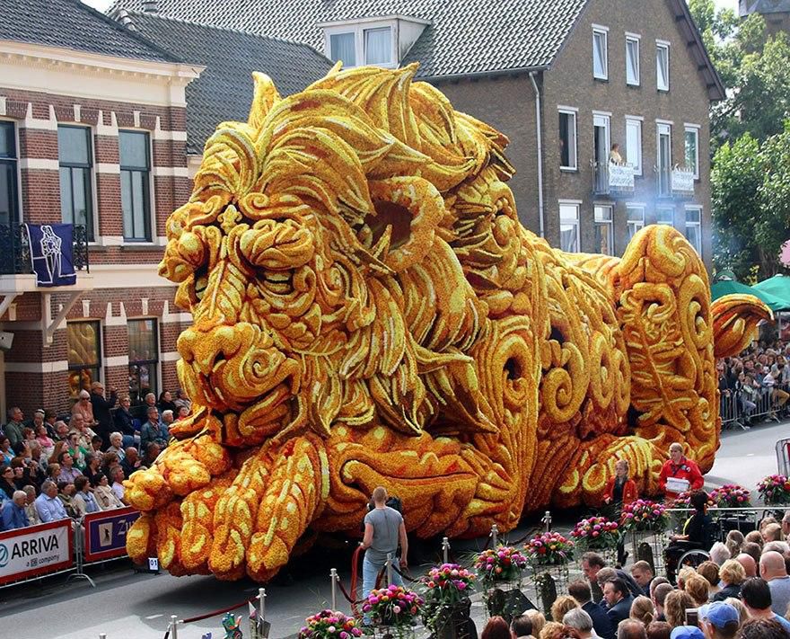 Netherlands Flower Parade Photos Pulse Nigeria