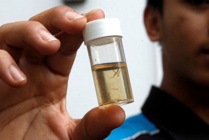 Singapore says unclear if local Zika strain causes birth defects