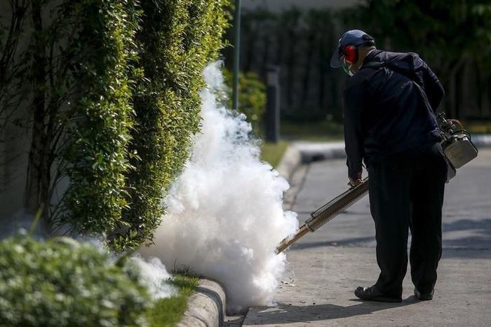 Thai authorities downplay Zika risk, worried by tourism impact