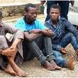 Murderers of Oyo State law maker on parade.