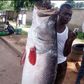Fish ‘taller’ than man sparks social media frenzy
