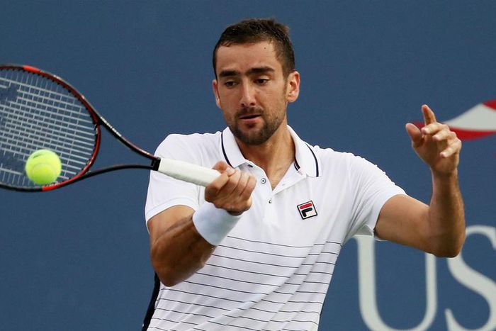 ___5450890___https:______static.pulse.com.gh___webservice___escenic___binary___5450890___2016___9___2___23___marincilic-cropped_nd2mjwsm6nsl1rzuosdttvvq9_1