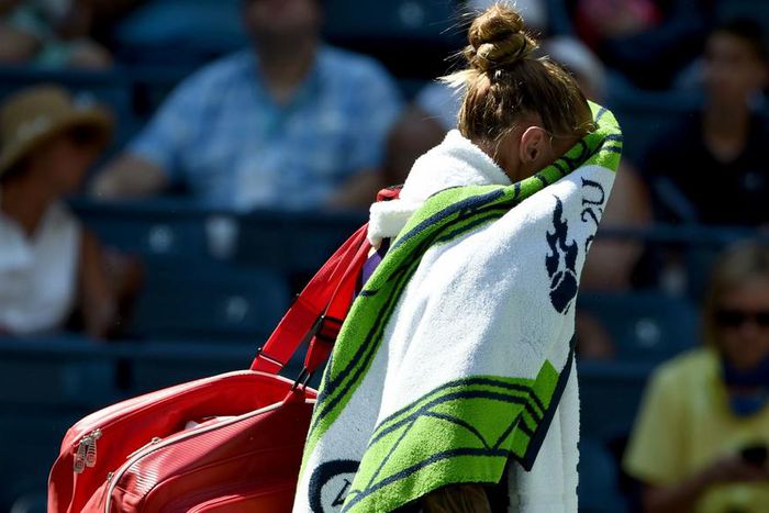 ___5433298___https:______static.pulse.com.gh___webservice___escenic___binary___5433298___2016___8___30___0___polona-hercog-cropped_cafiw4vif7pt107swibmvkior