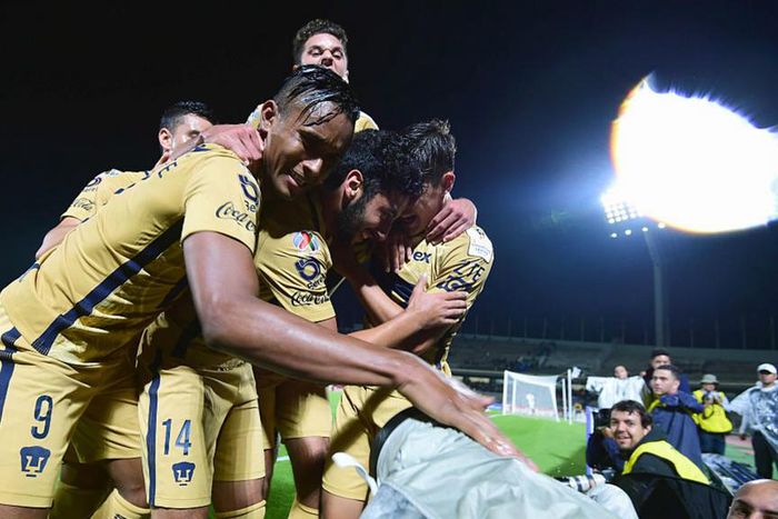 ___5395803___https:______static.pulse.com.gh___webservice___escenic___binary___5395803___2016___8___19___13___pumas-cropped_tn789mezpg7514eg4e8pxiu19