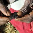 Sierra Leone urged to ban FGM after death of teenage girl