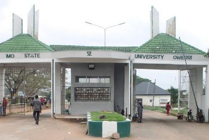 Imo State University