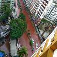 The streets of Dhaka, Bangladesh flow with blood following Eid celebrations