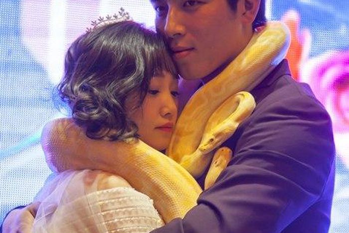 Wu Jianfeng and Jiang Xue exchange pythons during wedding ceremony