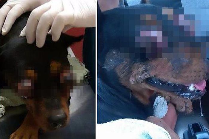 ___5487691___https:______static.pulse.com.gh___webservice___escenic___binary___5487691___2016___9___13___22___image-34_1