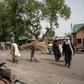 The helicopter crashed during a Boko Haram raid on a military base in Damasak, a town in northeastern Nigeria