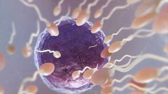 Men, don’t ignore these 5 signs of infertility - a Doctor warns