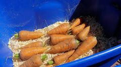 5 surprising ways to preserve your food without a freezer