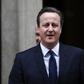 David Cameron