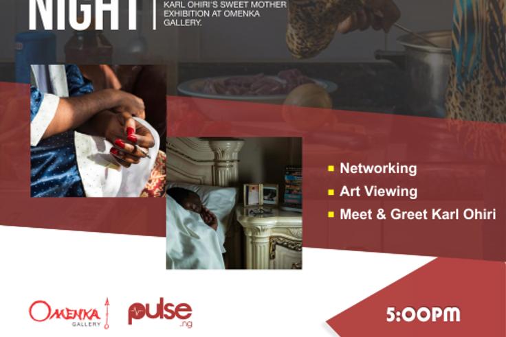 Pulse Art Night
