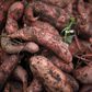 Freshly harvested sweet potatoes are shown in a basket after they were picked during the fall harvest of the White House Kitchen Garden at the White House in Washington, October 20, 2010