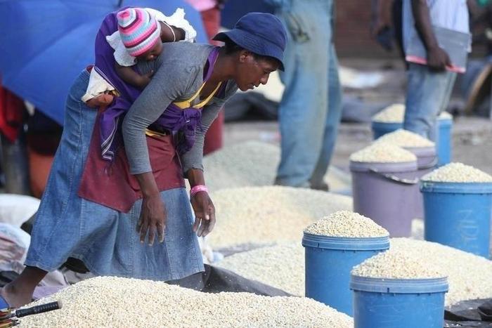 A Zimbabwean woman sells maize in the capital Harare, March 3, 2- RTSAGJ3