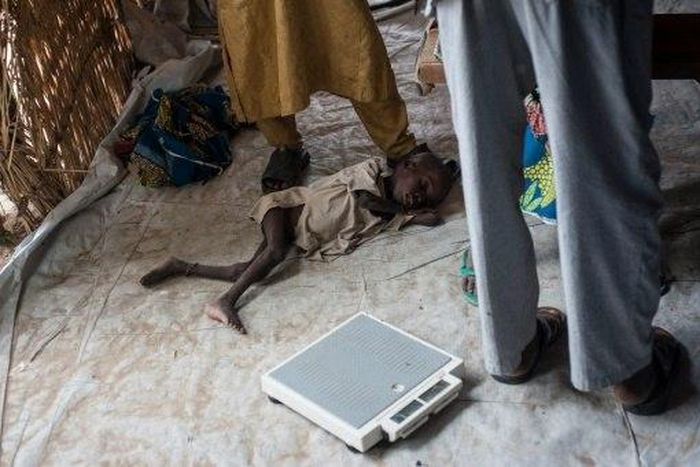 Food crisis in NE Nigeria like Darfur, S.Sudan: UN