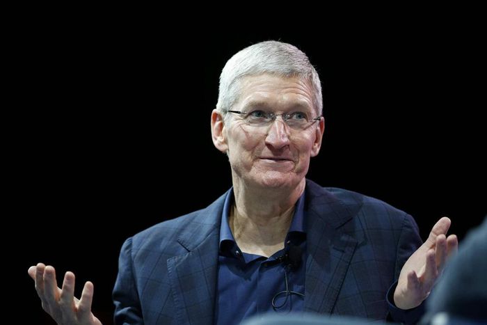 Tim Cook is CEO of Apple Inc.