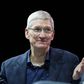 Tim Cook is CEO of Apple Inc.