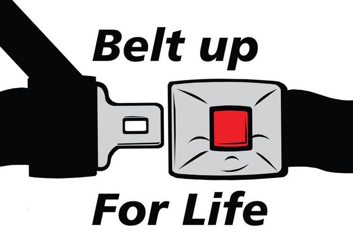 Always use your seat belts