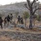 Buhari commends troops' courage, resilience in operations